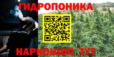 трава Свободный
