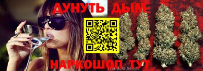 кристаллы Сланцы
